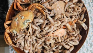 Some sea-snacks