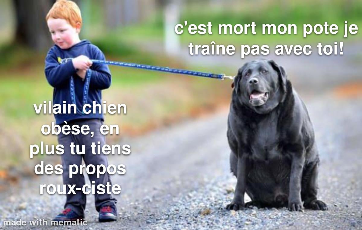 Ringo et son petit Maître