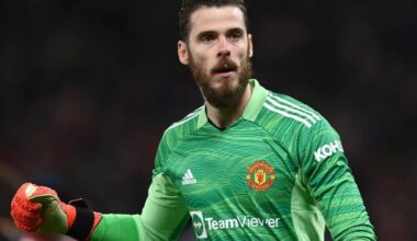 [Di Marzio]  Fiorentina are progressing with the signing of De Gea.

He is expected to sign a one-year contract with an option for an additional year.