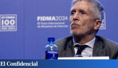 Interior admite a Llarena que solo activó sus servicios de "Inteligencia" una vez fugado Puigdemont