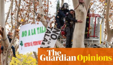 Madrid is one of the hottest cities on Earth. So why are so many of our trees being chopped down?