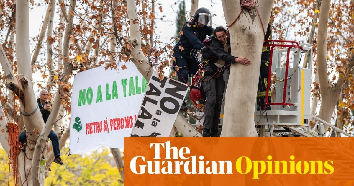 Madrid is one of the hottest cities on Earth. So why are so many of our trees being chopped down?