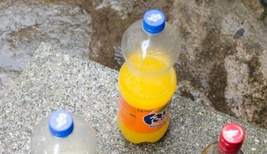 176 sancions per consumir drogues a l'espai públic en el primer semestre