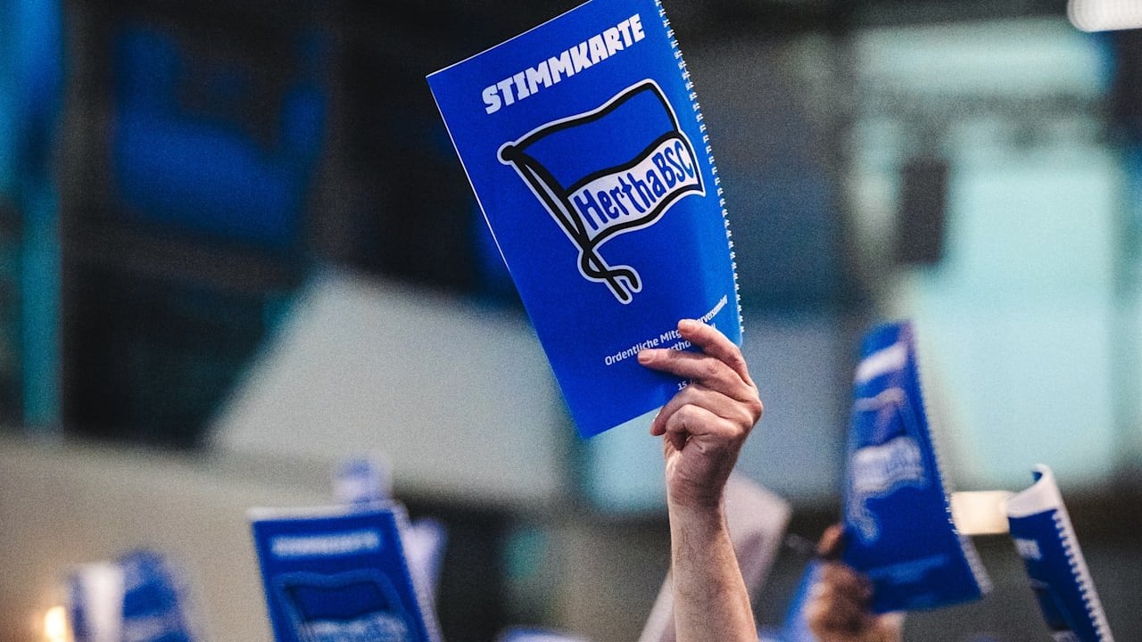 Marko Pantelic (4 Jahre bei Hertha gespielt) möchte ins Hertha Präsidium - er hat bereits seine Kandidatur für das Amt des Vizepräsidenten eingereicht