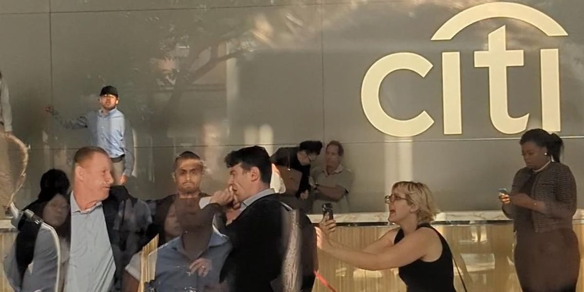 Citibank Staffer Punches Climate Activist During Protest | "Citi keeps proving their violent business is rooted in violent people," said the Planet Over Profit campaign.