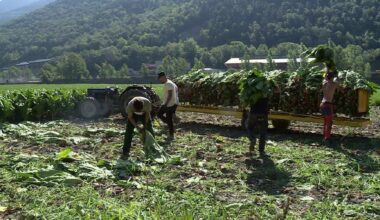La falta de mà d'obra és un problema cada cop més greu