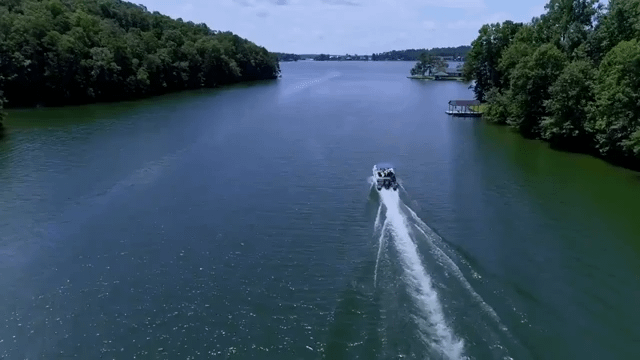 Juve's new sponsor attempts to kill his dog by pushing it into a boat propeller for "content" and tries to pretend it just jumped off