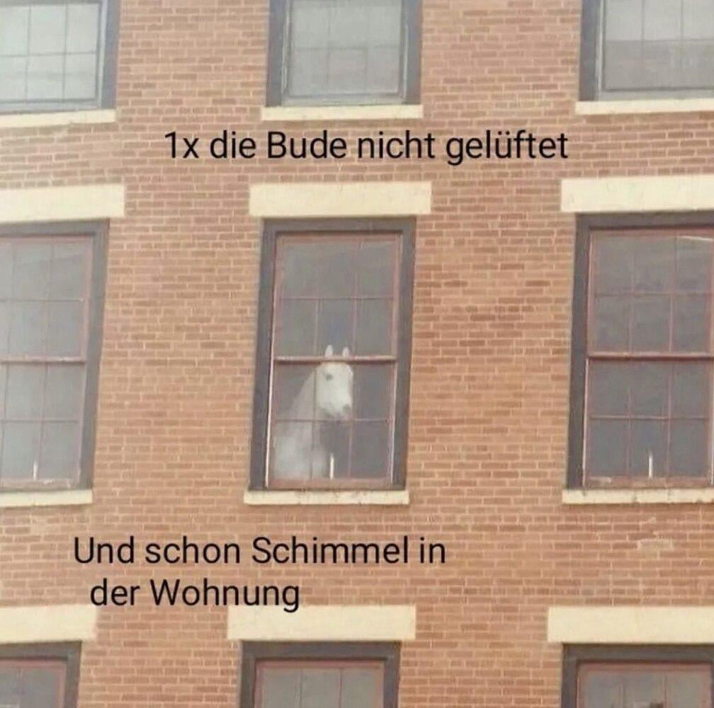 Immer gut Lüften