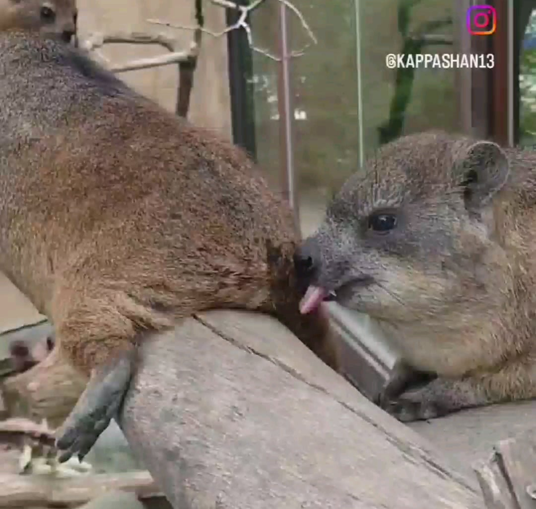 Megafon vizsgafelkészítő tréning