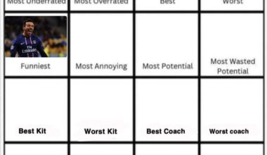 Lavezzi wins funniest player. Day 6 Most annoying player