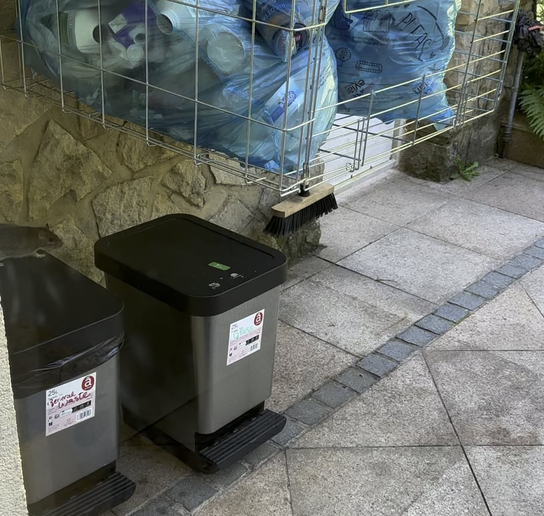 Is rat is common in Luxembourg?