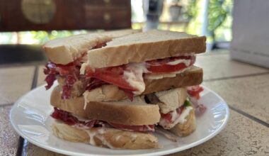 Tomato (Oxheart), Radicchio, Basil, Mozzarella and Parmesan Sandwich
