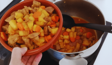 Stewed Pork with Carrots and Fried Potatoes