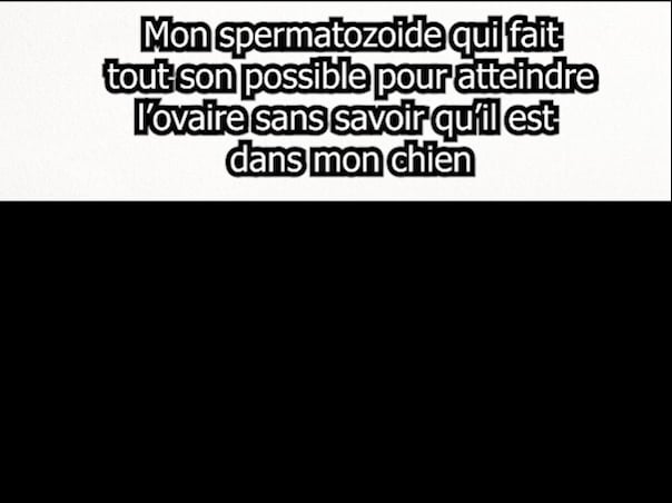 Désolé médor….