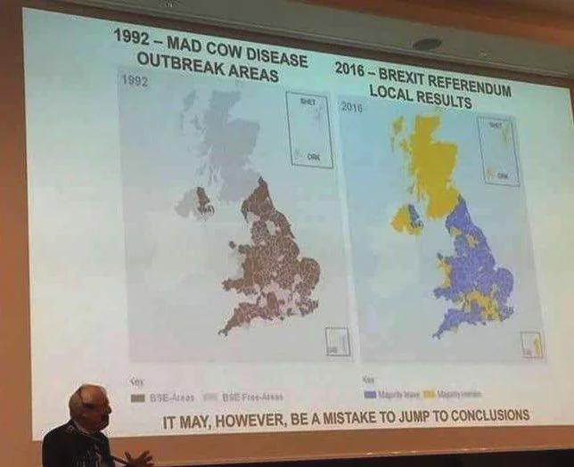 Is usins and themmuns the result of mad cow disease?
