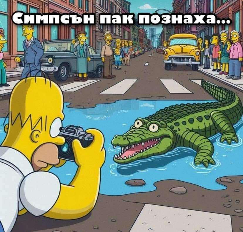 Истинските баба Ванга .Симпсънс - Ванга 200 на нула .