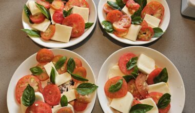Tomatoes finally! Salad with home-grown tomatoes and basil... (cheese from Italy)
