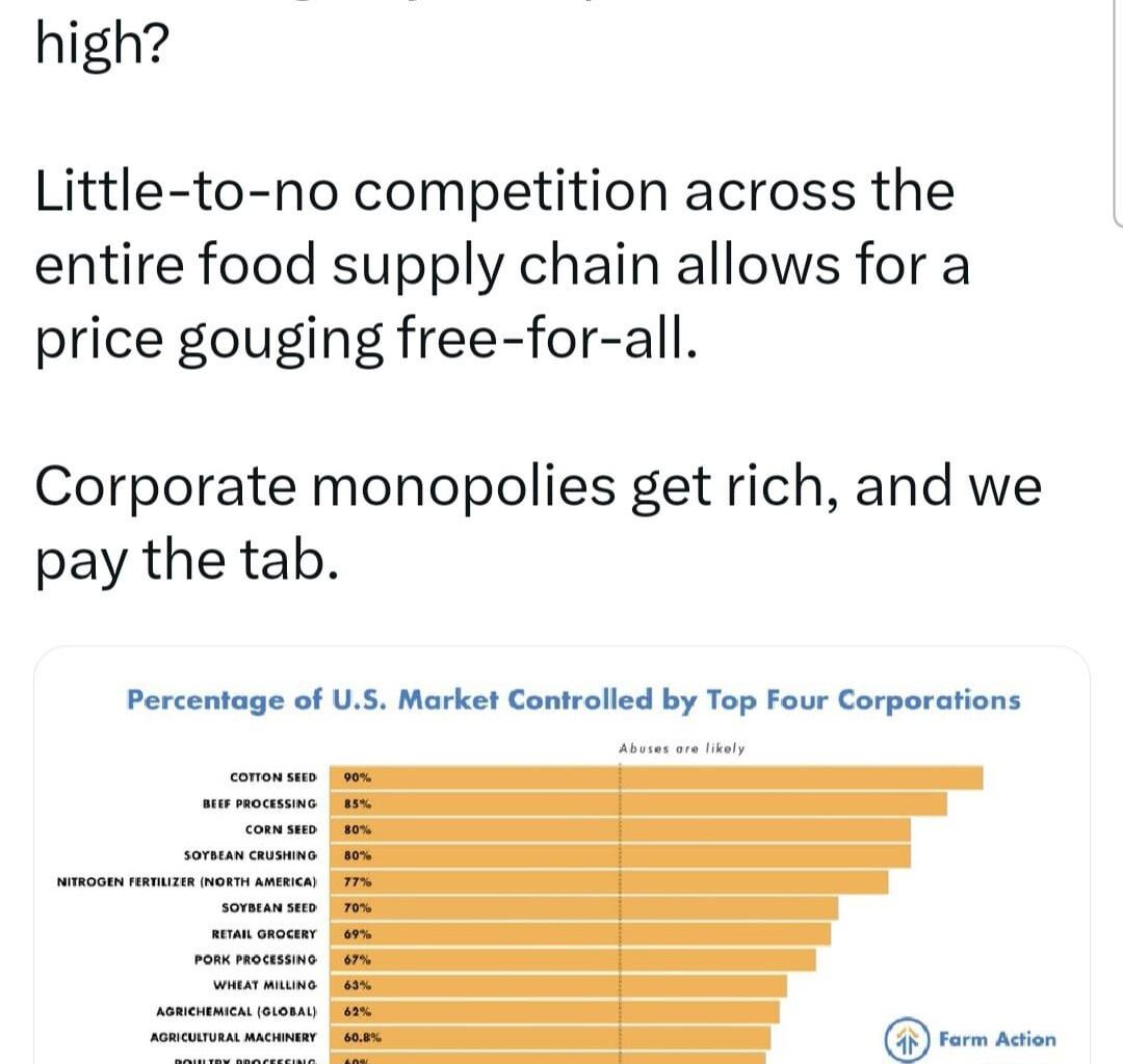 Oligopolies and monopolies aren't talked about enough. Imagine if we broke up big corporations in every industry and created competition.
