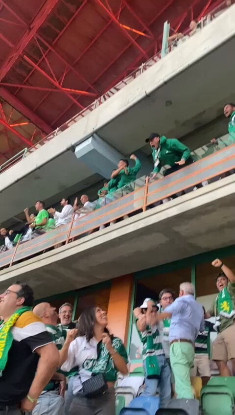 Imagens do Nuno Santos (e do Mateus Reis) a baterem no vidro que acabou por partir e cair em cima de uma adepta