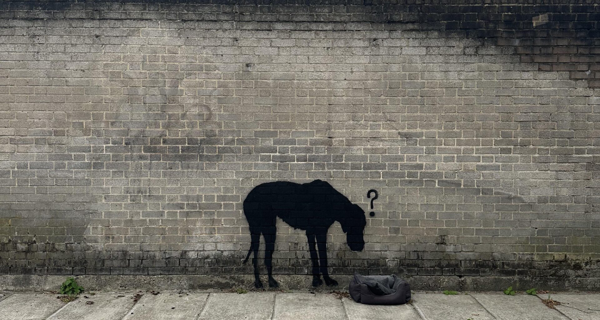 Next banksy?