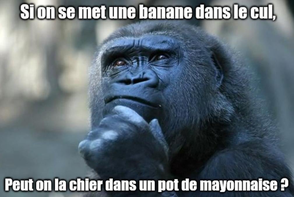 La Rance, patrie de la méta-gastronomie.