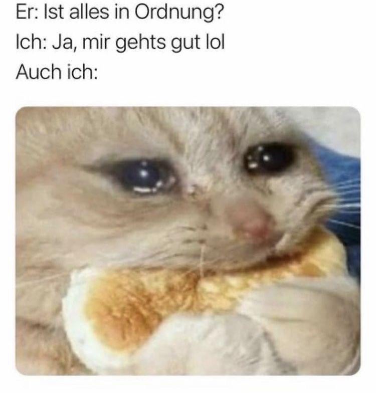 Wenn du versuchst, die Fassung zu bewahren aha