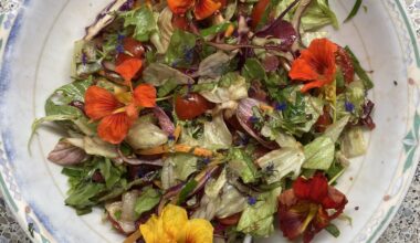 Simple salad with freshly harvested tomatoes & herbs & blossoms from the garden