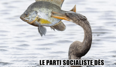 Keuwaaaa ? Comment ? le PS ne soutiendrait pas la procédure de destitution du président proposée par LFI ? (Bon aujourd'hui c'est ça, demain ce sera autre chose...)