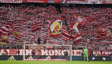 A Fan's Voice from all 18 Bundesliga Clubs