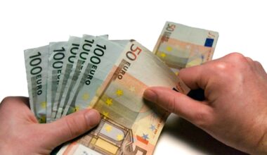 Govern no va comprovar si les dades que aportaven les empreses per rebre préstecs Covid eren certes