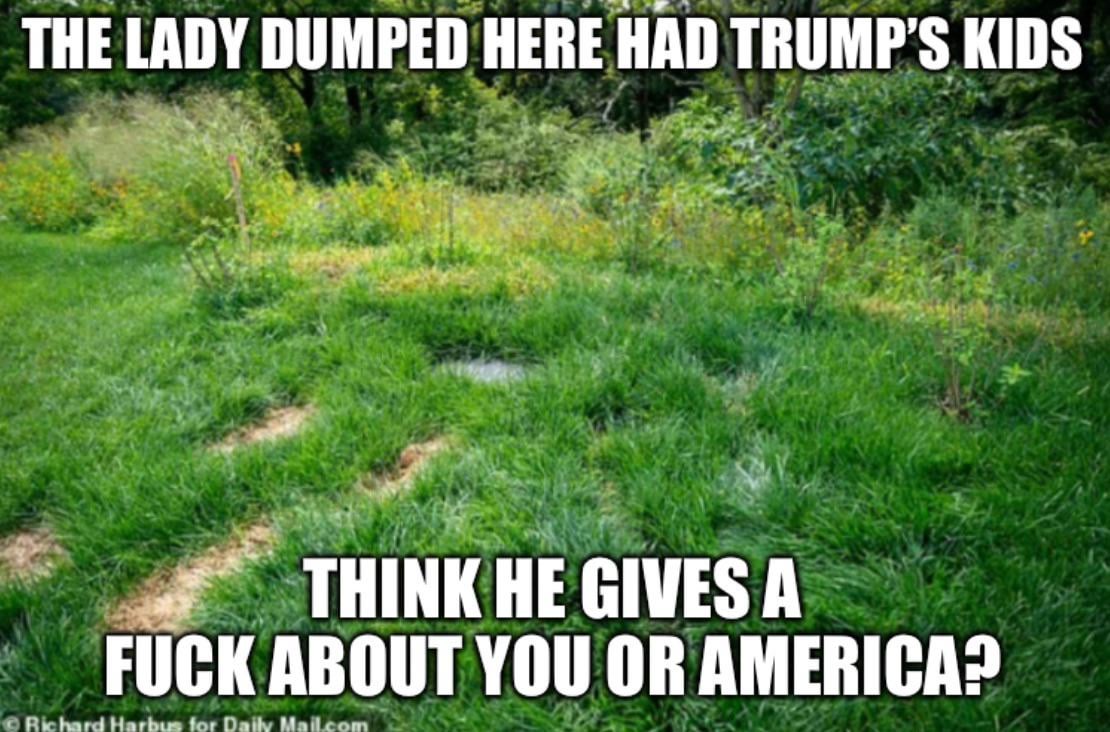 Maybe a push mower?