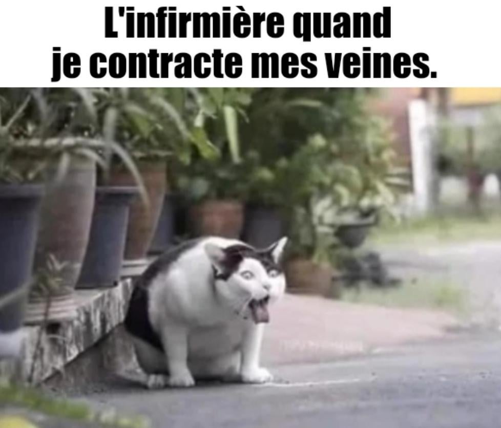 Malheureusement, la nature a été méchante avec moi.