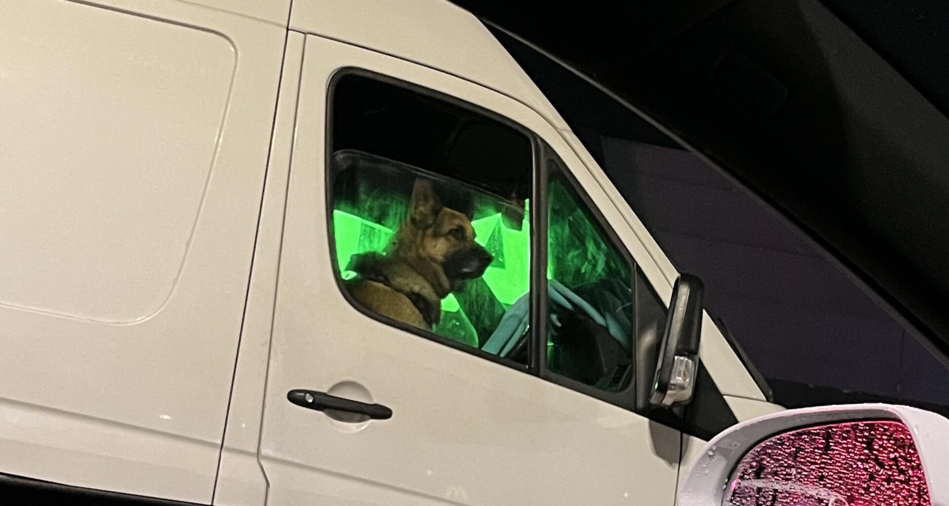 Amazon will hire anyone