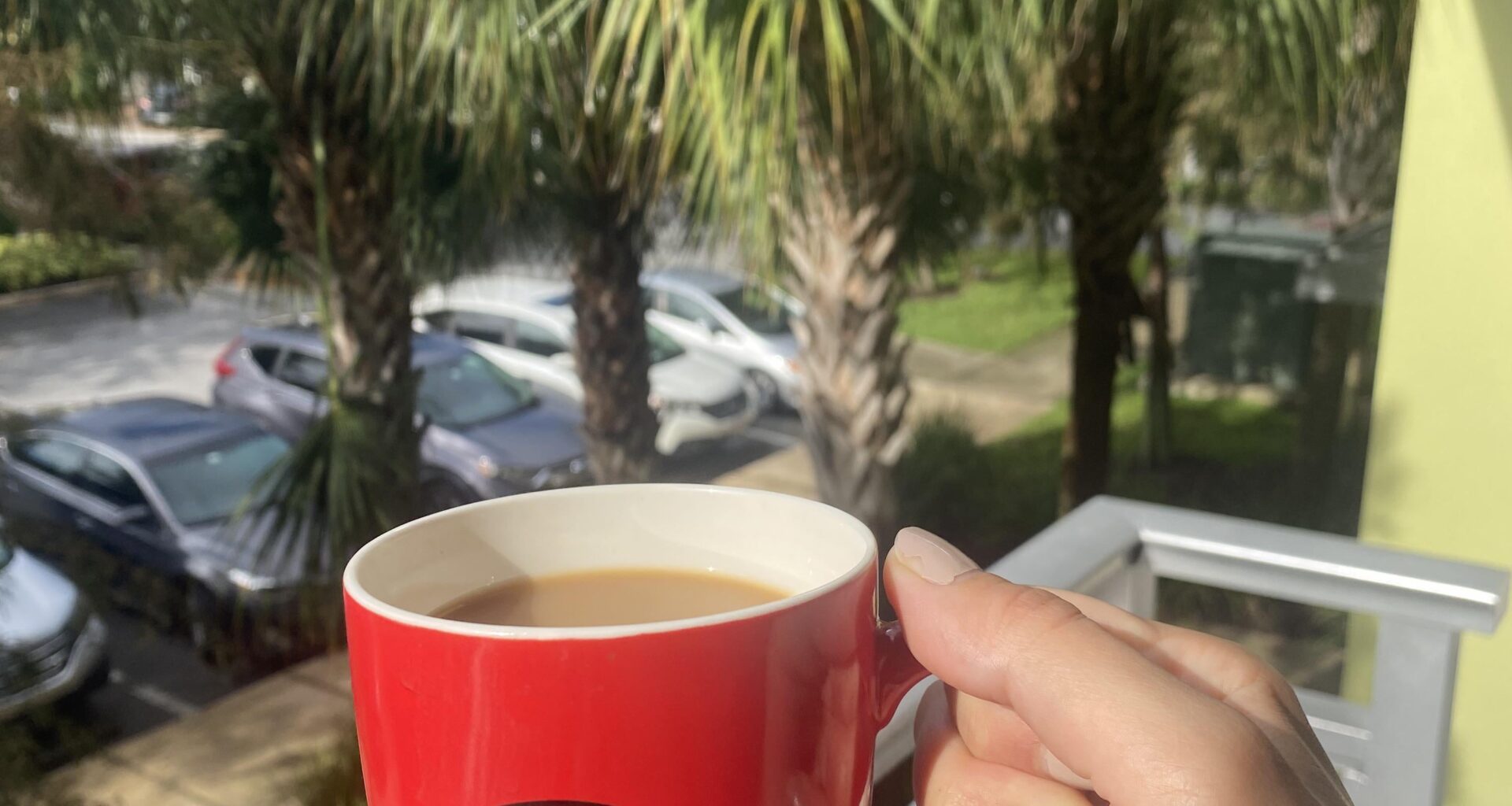 Phryge in Florida!