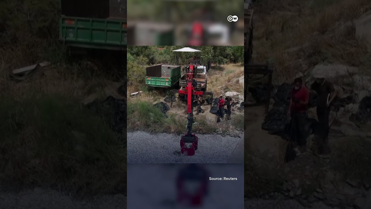 Blanket of dead fish in Greek port | DW News