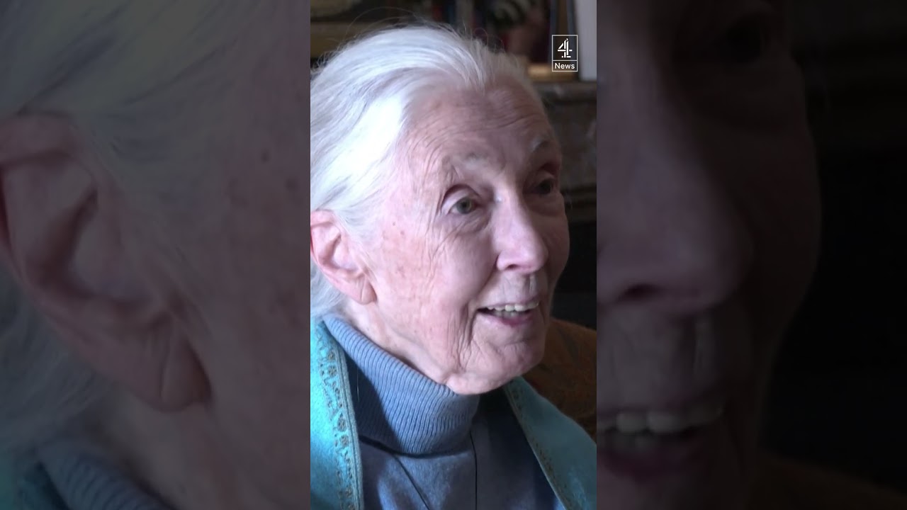'My next great adventure at 90 is dying' - Jane Goodall