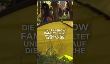 VOLLMOND-RITUAL IM HARZ: Polizei stoppt "Rainbow Family" – Gefahr von Waldbränden | WELT #shorts