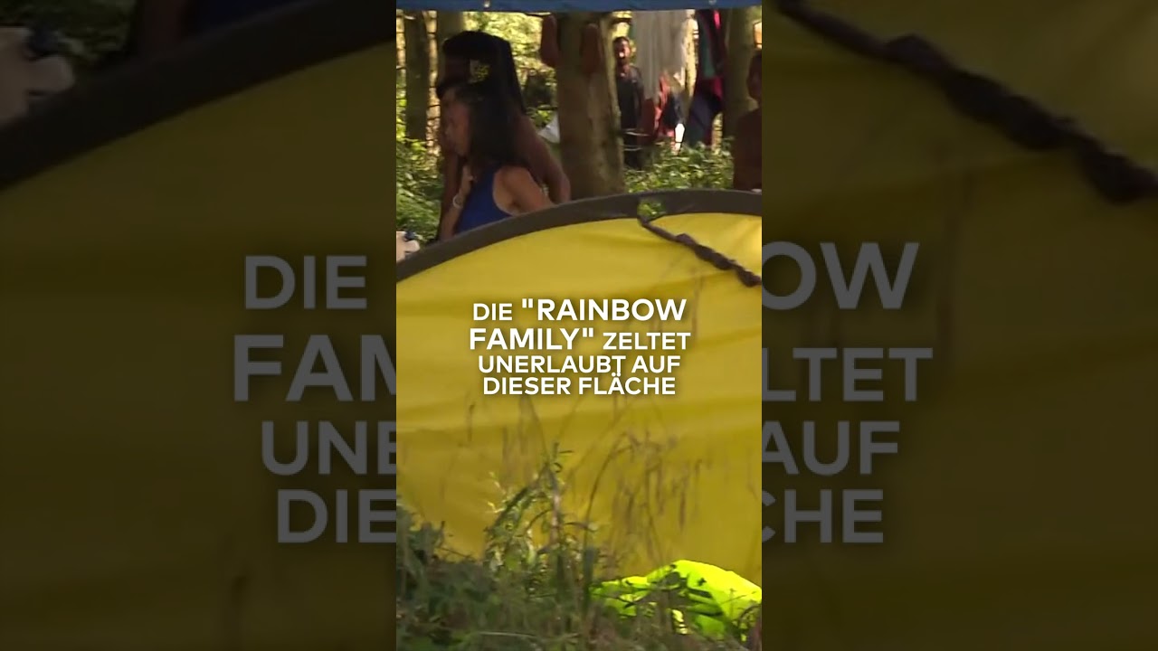 VOLLMOND-RITUAL IM HARZ: Polizei stoppt "Rainbow Family" – Gefahr von Waldbränden | WELT #shorts