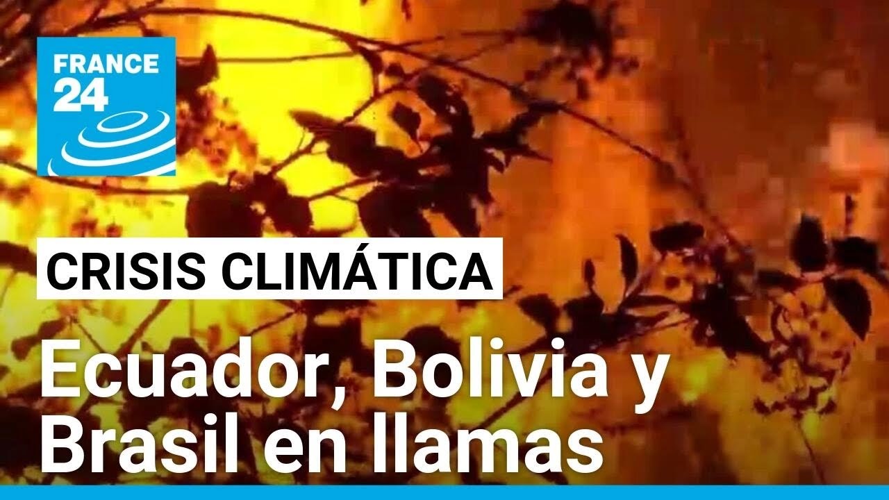 América Latina en llamas por las consecuencias del cambio climático • FRANCE 24 Español