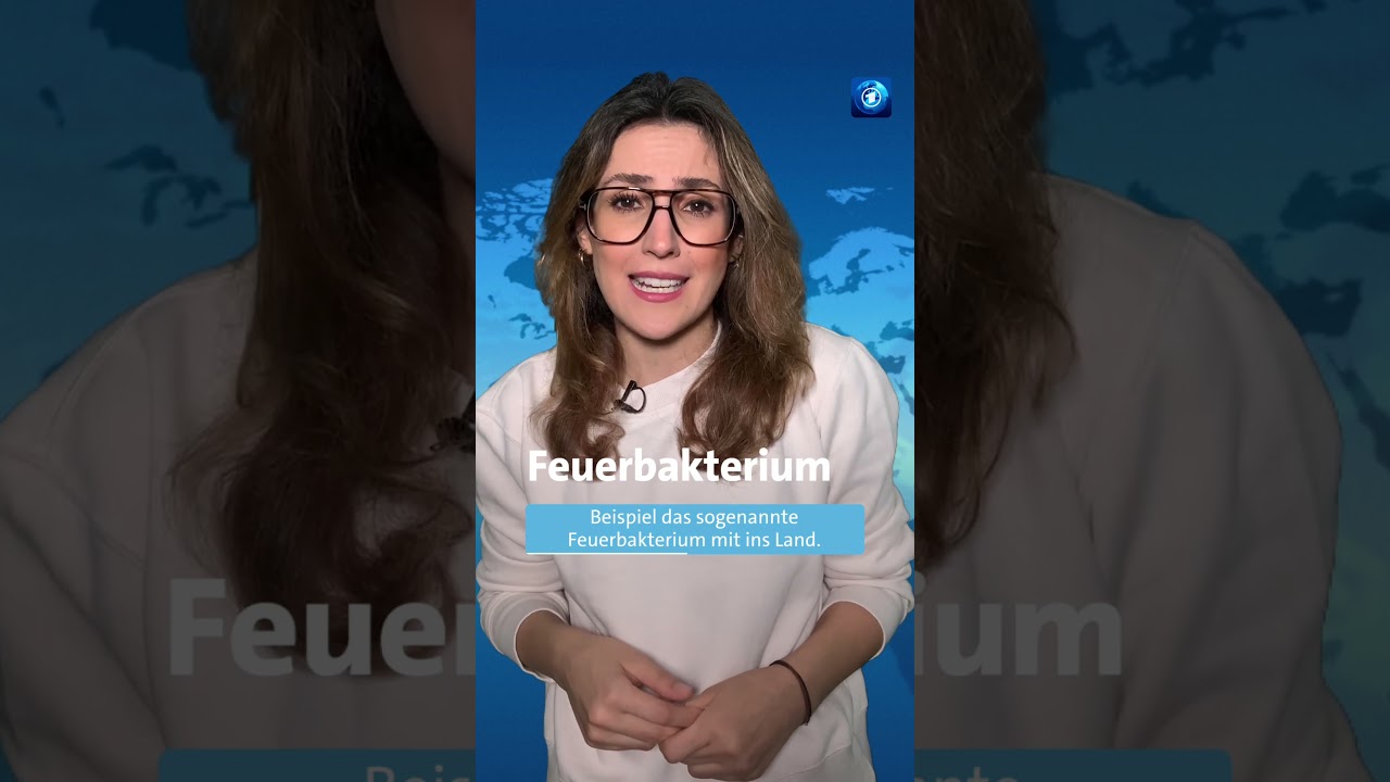 Warum Pflanzen aus dem Urlaub mitbringen keine so gute Idee ist. #tagesschau #nachrichten