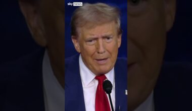 'They're eating pets in Springfield'