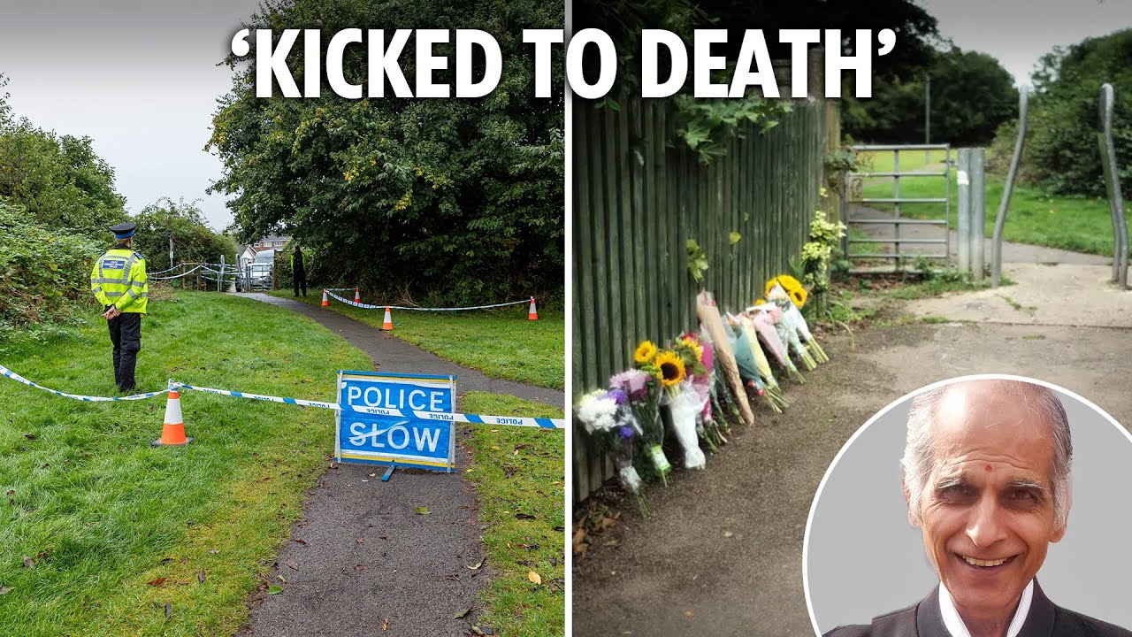 Boy, 14, in court charged with murder of grandad, 80, who was ‘kicked to death’ while walking dog