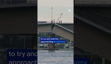 Bridge collapses into river in Germany's Dresden | DW News