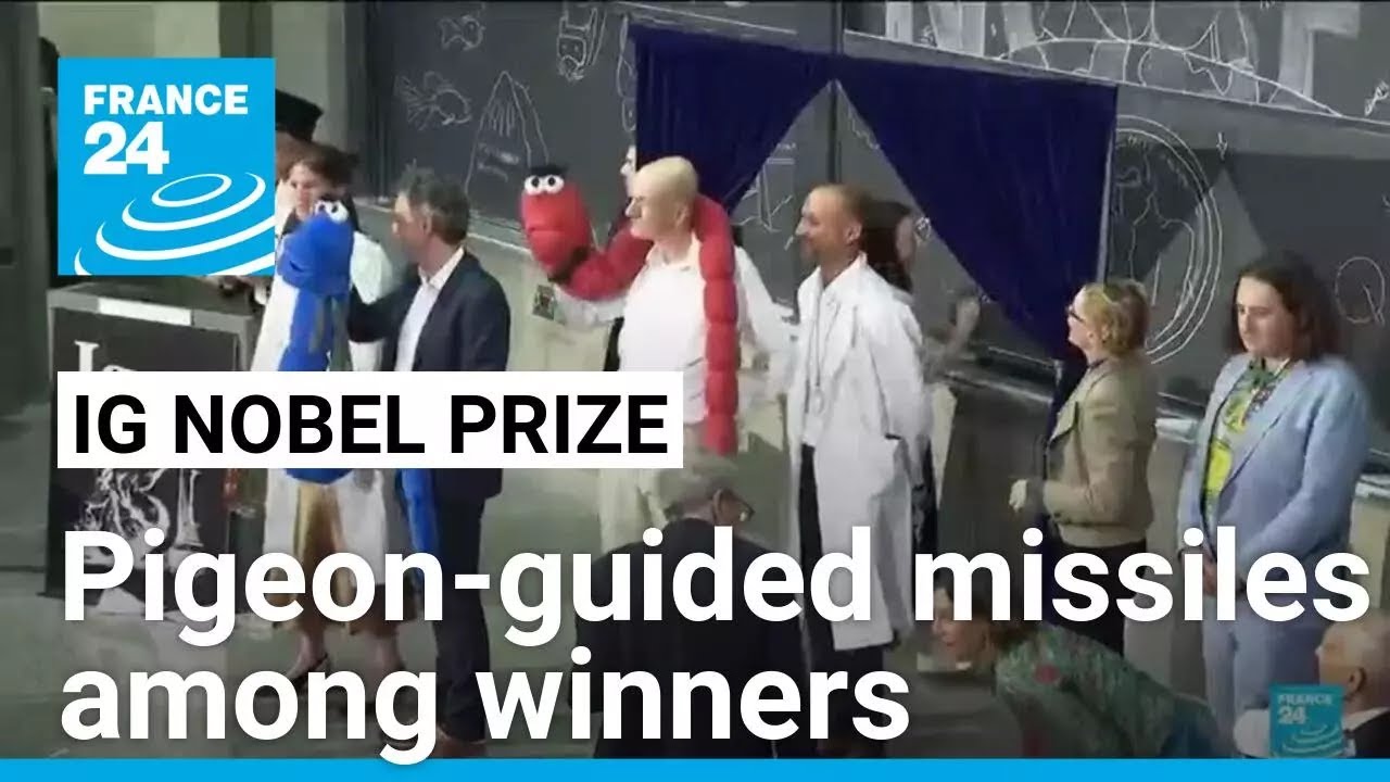 Pigeon-guided missiles, drunken earthworm study win Ig Nobel prizes • FRANCE 24 English