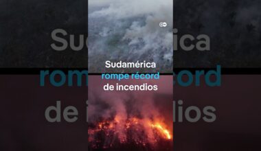 Sudamérica bate récord de incendios: más de 340.000 fuegos forestales hasta el 11 de septiembre