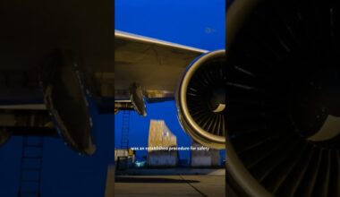 Plane makes emergency landing after passenger finds live mouse #news #plane