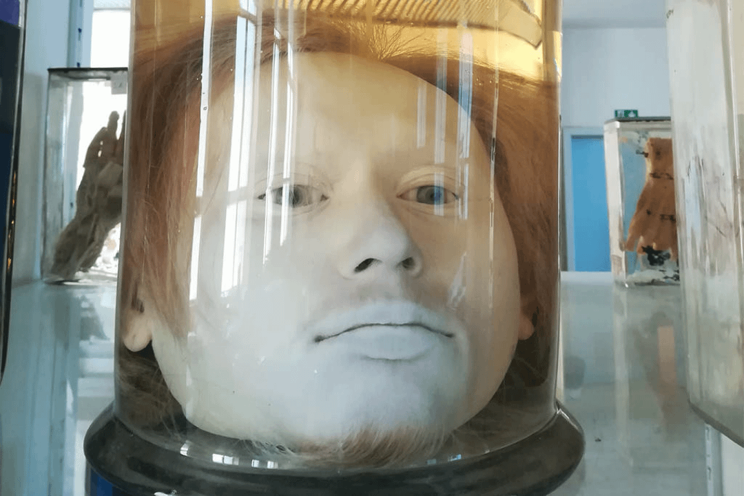 Serial Killer's Head
