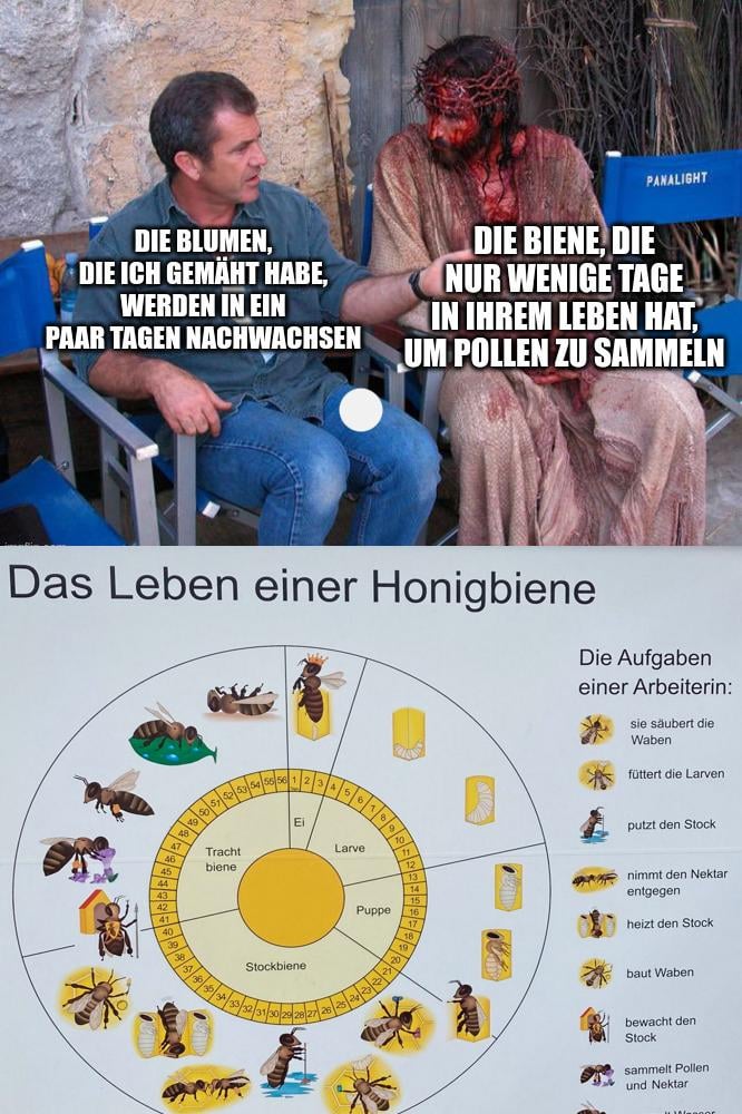 🐝🐝🐝🐝🐝🐝🐝🐝