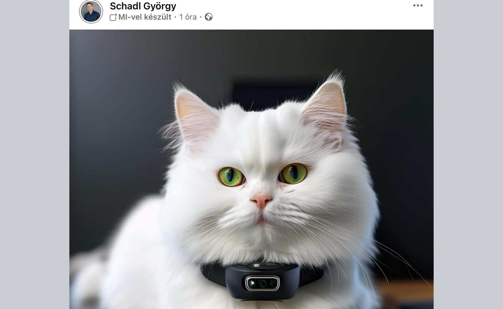 Schadl újabb furcsa posztja