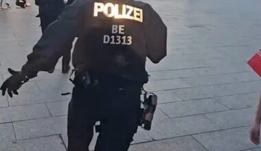 Un enfant arrêté en Allemagne pour avoir brandi un drapeau